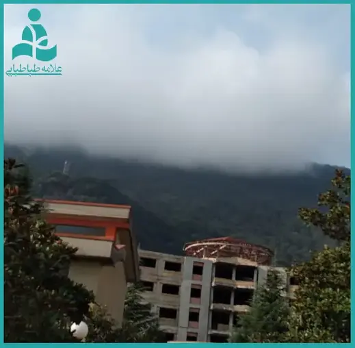 مدرسه علامه طباطبایی واحد کارگر شمالی، اردوی برون استانی در دبیرستان دوره دوم علامه طباطبایی واحد کارگر چیست؟